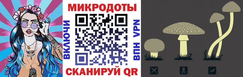 Купить закладки  Сортавала  Галлюциногенные грибы ЛСД 