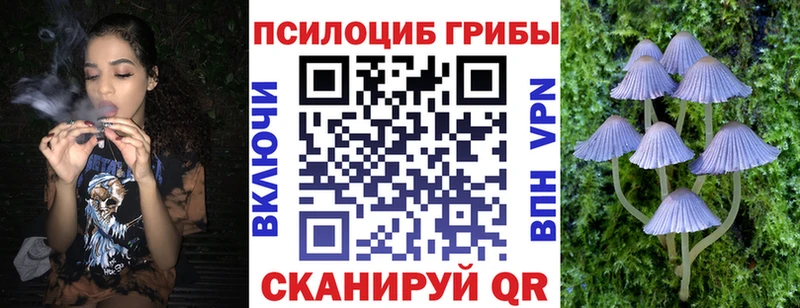 Галлюциногенные грибы Magic Shrooms Сортавала
